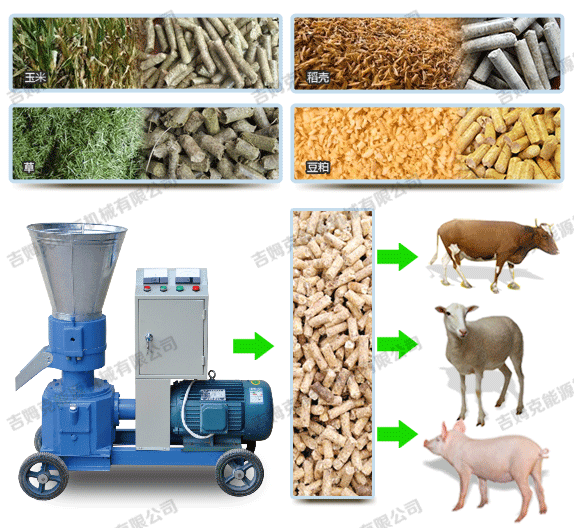 玉米秸稈加工牛羊飼料顆粒過程